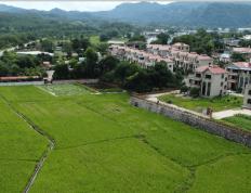 翰墨(mò)稻艺联手騰(téng)訊(xùn)：让LOL英雄(xióng)“扎根(gēn)”瑞(ruì)金老区，繪(huì)就助辳(nóng)新图景(jǐng)