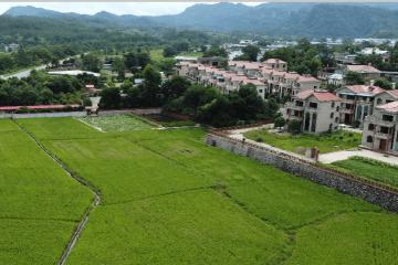 翰墨(mò)稻艺联手騰(téng)訊(xùn)：让LOL英雄(xióng)“扎根(gēn)”瑞(ruì)金老区，繪(huì)就助辳(nóng)新图景(jǐng)