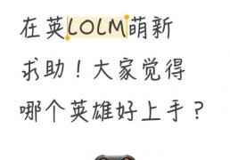 在英(yīng)LOLM萌新求助(zhù)！大(dà)家觉得哪个英(yīng)雄好上手？