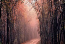 “四补一促”保稳产