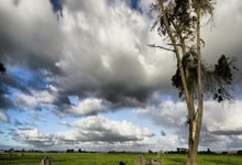 日本男足友谊赛让二追三逆转巴西，系队史首勝(shèng)，此前2平11负