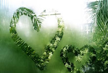 職(zhí)业联赛，再(zài)不见张寶(bǎo)！