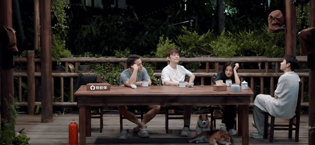 《向往的生(shēng)活8》摆烂了(le),挺(tǐng)好