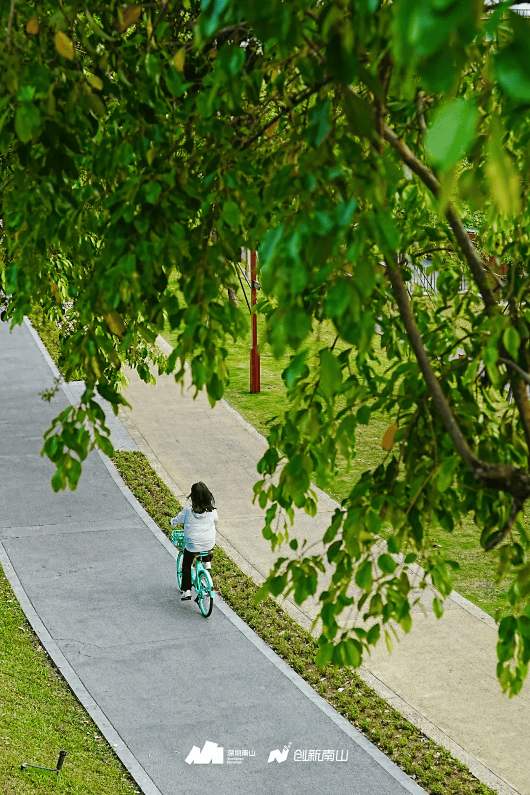 全(quán)球(qiú)总决赛，就在南山！