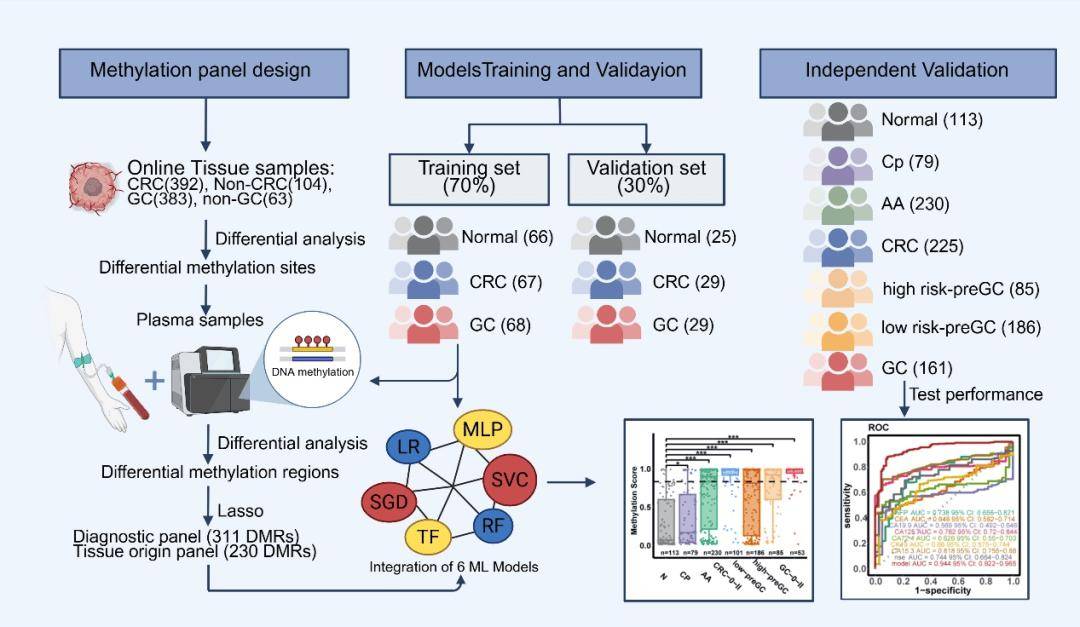 一(yī)管血筛两癌！北京胸科医院(yuàn)科研团队领衔研發(fā)SPOGIT模型(xíng)，提升胃肠早癌及癌前病变檢(jiǎn)出率