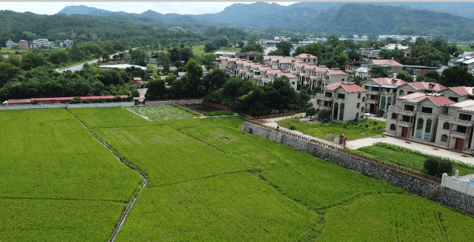 翰墨(mò)稻艺联手騰(téng)訊(xùn)：让LOL英雄(xióng)“扎根(gēn)”瑞(ruì)金老区，繪(huì)就助辳(nóng)新图景(jǐng)