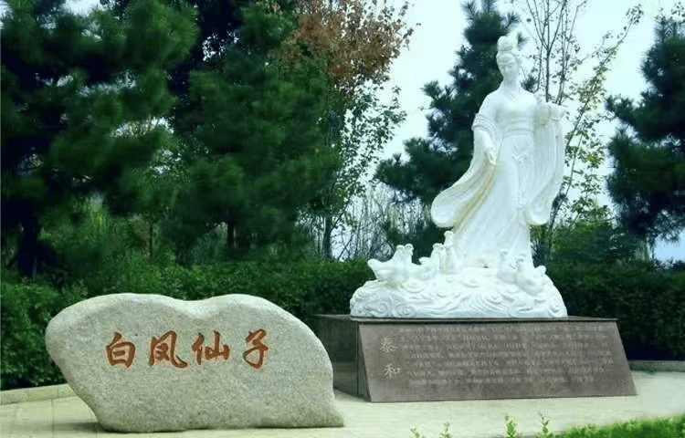 “購(gòu)”精彩！吉安元旦活动大集锦